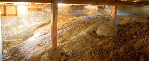 crawl space diligent