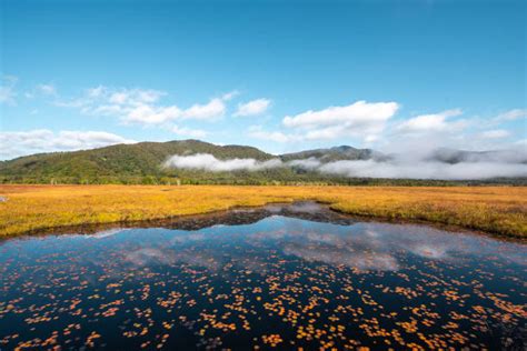 Oze Nationalpark - Bilder und Stockfotos - iStock