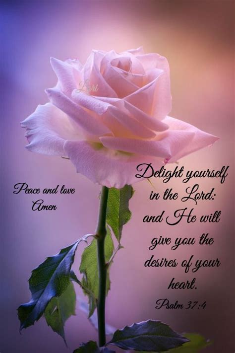 Jesus Quotes For Life Jesus Quotes Jesus Saying Jesus Quotes Fro Happy