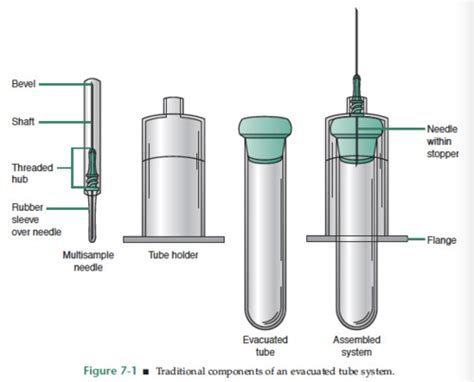 Parts Of An Evacuated Tube System Flashcards Quizlet Hot Sex Picture