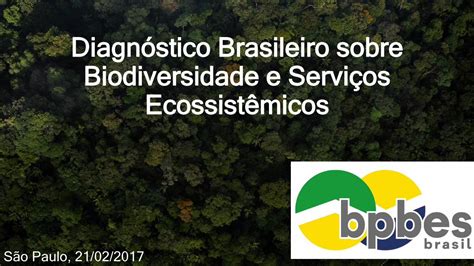 Pdf Diagn Stico Brasileiro Sobre Biodiversidade E Servi Os