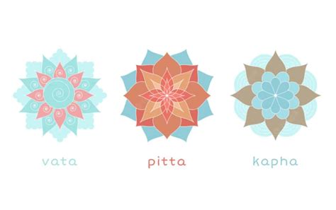 The Ayurveda Body Types Explained Vata Pitta And Kapha