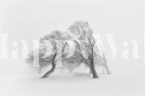 Buy Together Wallpaper Online | Happywall