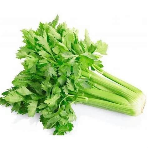 green celery  rs kilogram exotic vegetables  delhi id