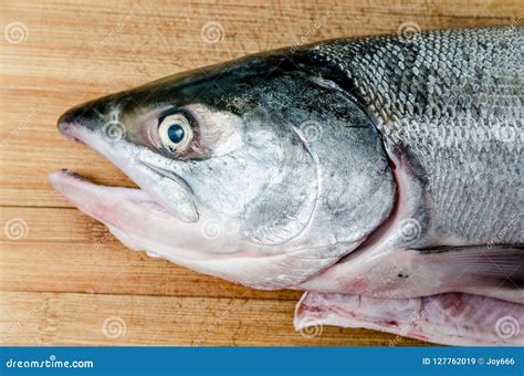 Fresh Salmon Head Close Up Stock Image Image Of Eating 127762019