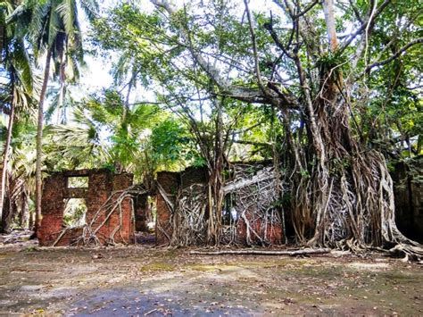 Ross Island: Ruins of the Colonial Past - Abhijna e-Museum