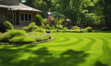regenerative lawn practices revive  ecosystems lawn care lab