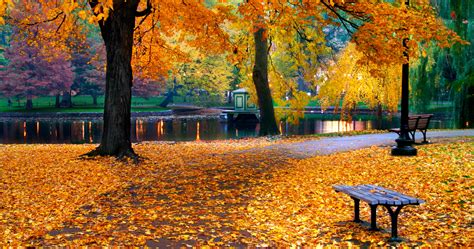 12 places to see fall foliage in/around Boston [09/28/25]