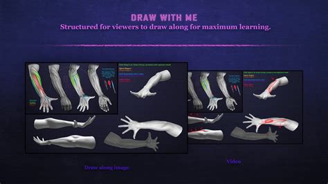 Forearm Anatomy in Motion: A Comprehensive - FlippedNormals
