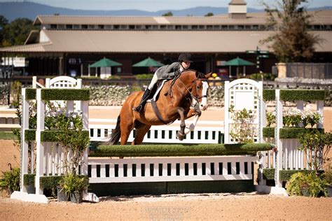 Tryon Fall Series Circuit Champions — Tryon International