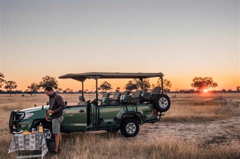 Inside South Africa's Kruger National Park • Your Ultimate Guide