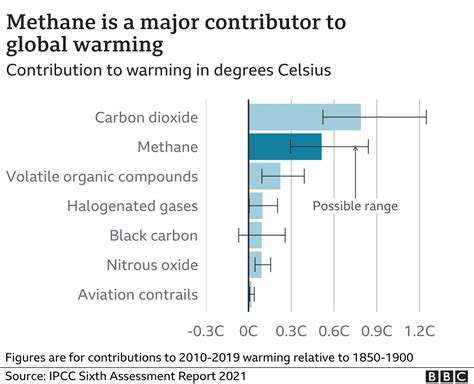 Climate change: New Zealand's plan to tax cow and sheep burps - BBC News