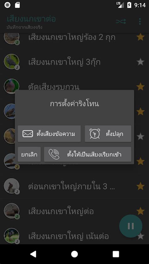 Spotted Dove Sounds Apk For Android Download