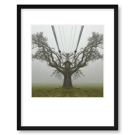 tree king framed print