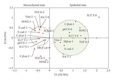 Tgf β And Il 17a Expression Associated With Emt Features In Invasive Download Scientific