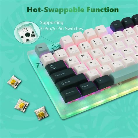 XVX Womier K87 PRO TKL Mechanical Keyboard Hot Swappable Keyboard Pudding Keycaps Gateron