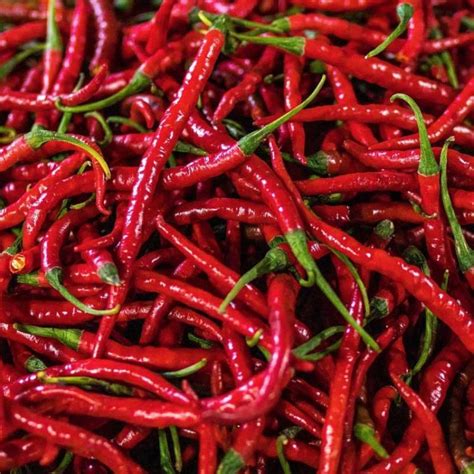 Seminte De Ardei Iute Hot Pepper Cayenne Long Slim