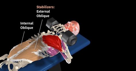 How To Bench Press Properly Exercise Science Mucsle And Motion