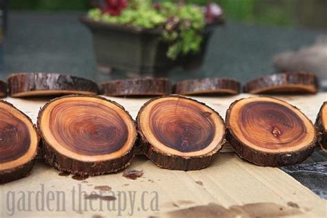 Natural Branch Coasters How To Cut Sand And Seal Wood Slices