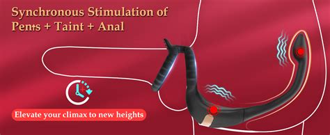 Amazon Vibrating Cock Ring Taint Stimulator With Mini Bullet Remote Control Anal Butt Plug