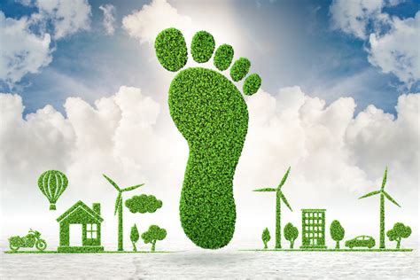 Der Carbon Footprint Eine Analyse des ökologischen Fußabdrucks