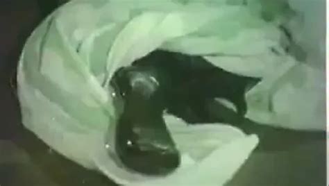 Free Arzu Okay Porn Videos Xhamster