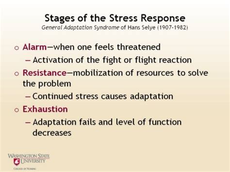 ️ Alarm Resistance And Exhaustion What Are The Stages Of Stress 2019