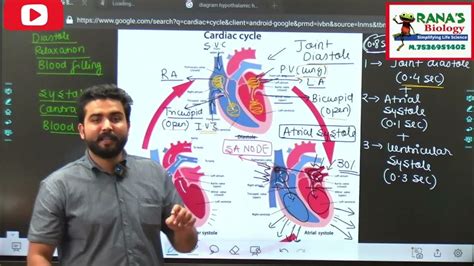 Cl 11 Ch 18 Body Fluid And Circulation Part 7 Human Heart