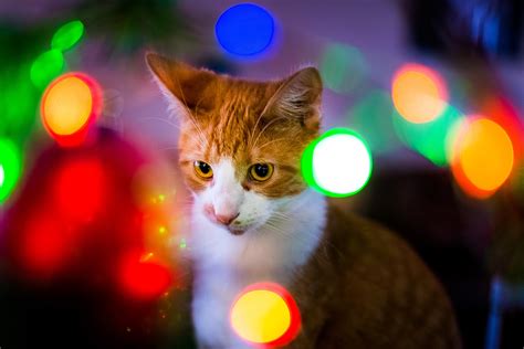 taws blog december