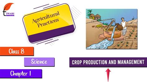 Crop Production And Management Agricultural Practices YouTube