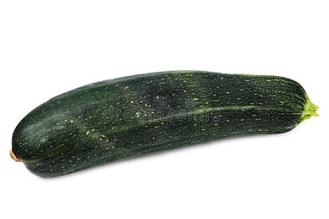 Fresh Marrow Squash Isolated On White Stock Image Image Of Background