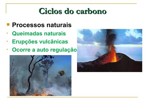 Ciclo Do Carbono Resumo 3