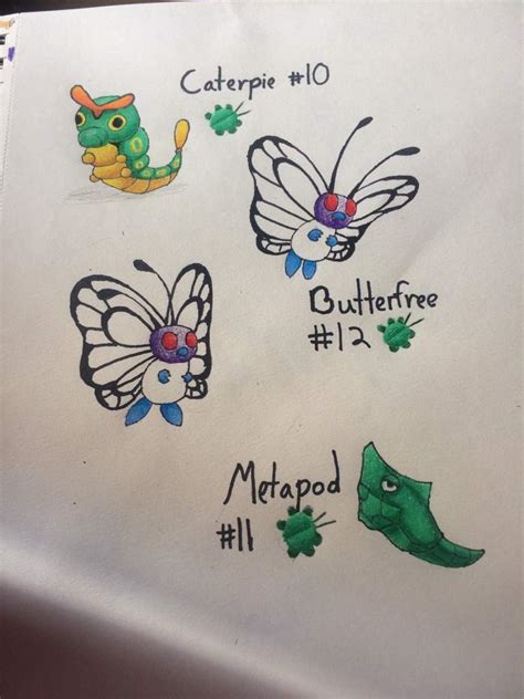 Caterpie Evolution Line Pokémon Amino