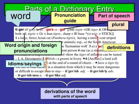 Parts Of A Dictionary Powerpoint Riset