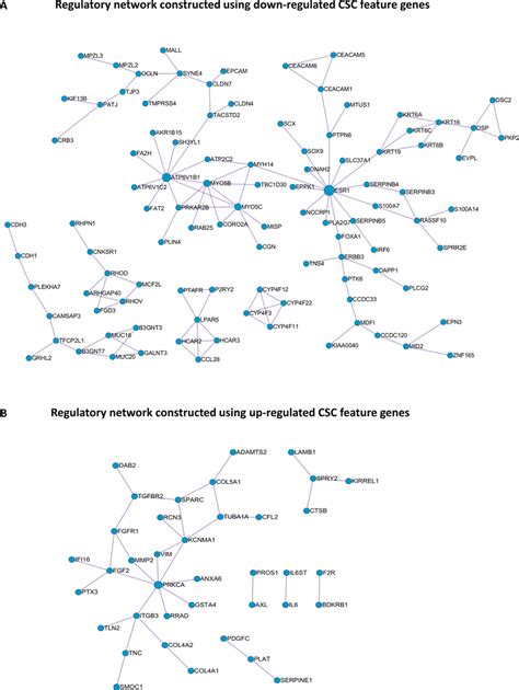 Proteinprotein Interaction Networks Constructed Using A Up Regulated