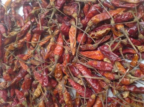 Bali Lotus Jaya Group Jual Bumbu Biji Dan Bumbu Bubuk Berkualitas Di Bali