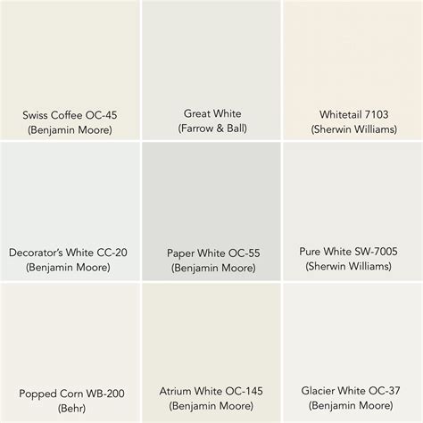 The Best White Paints in the Business — Lily spindle | Paper white ...
