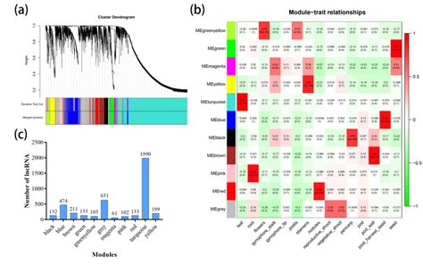 Weighted Gene Co Expression Network Analysis Wgcna Of Lncrnas In All