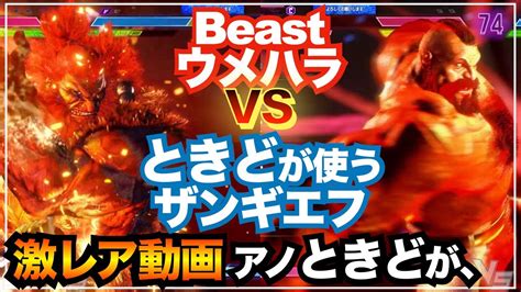 Akumadaigo Vs Zangieftokido Vs Beast