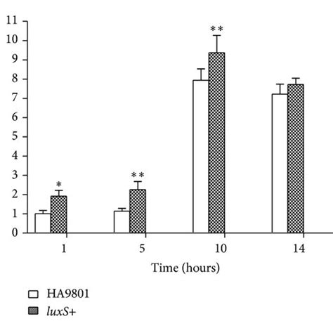 Analysis Of The Profile Of Luxs And Pfs Transcription In The Different