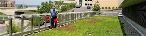 Green Roof Irrigation 1 Intermountain Roofscapes