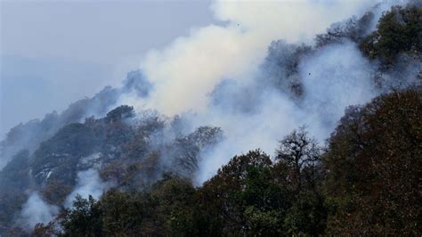 En México 33 Incendios Forestales Activos Vía Tres