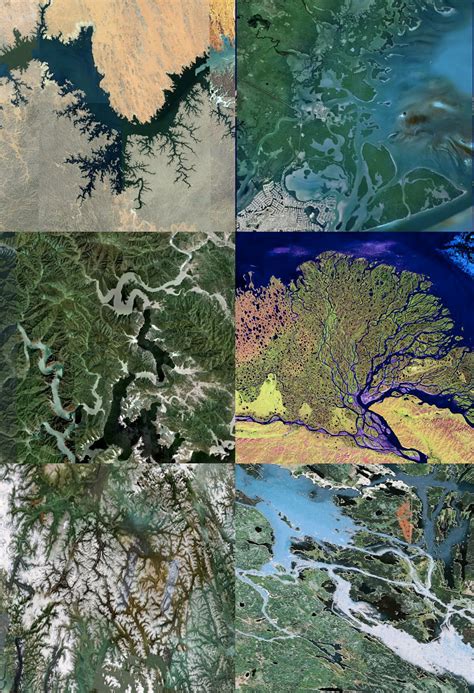 Los fractales, un orden geométrico en el Universo — Arsgravis - Arte y simbolismo - Universidad