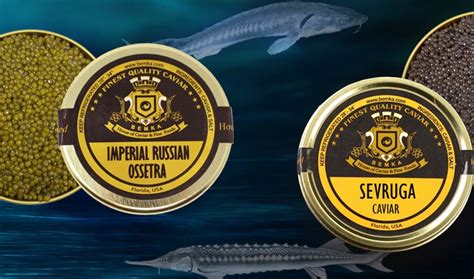 facts  sturgeon caviar