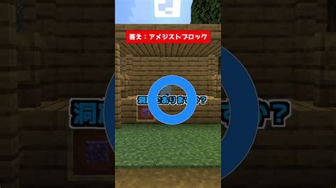 【マイクラアキネーターゲーム】『これなんだ？』 アメジストブロック Shorts マイクラ アキネーター ゲーム実況 マイクラ