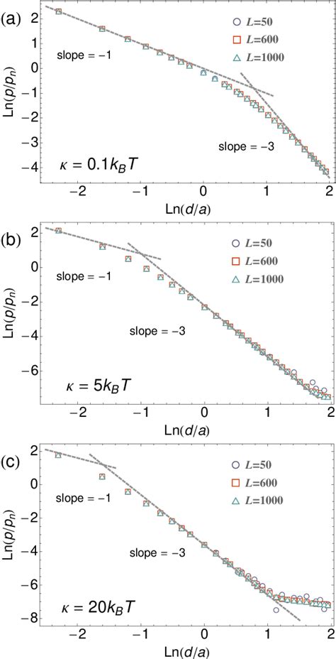 Figure From Revisiting The Entropic Force Between Fluctuating