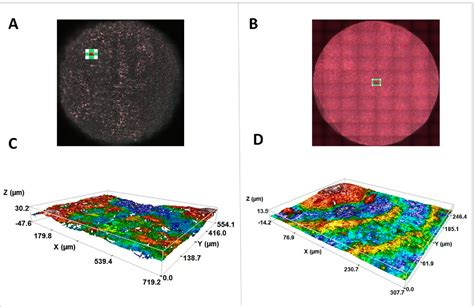 Figure 3 From Comparison Of Cytomorphometry And Early Cell Response Of