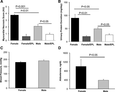 Biological Sex Modulates The Adrenal And Blood Pressure Responses To Angiotensin Ii Hypertension