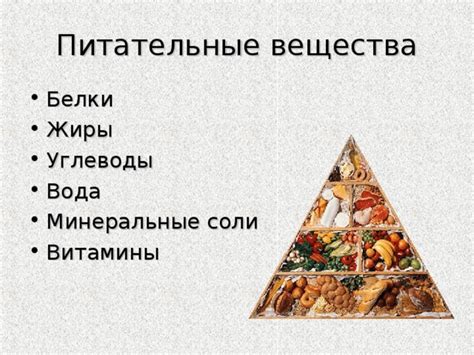 Физиология питания 6 класс