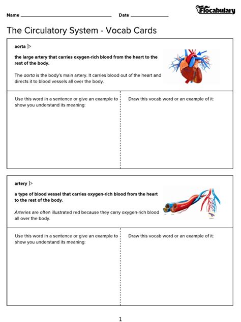 Circulatory System Vocab Cards Pdf